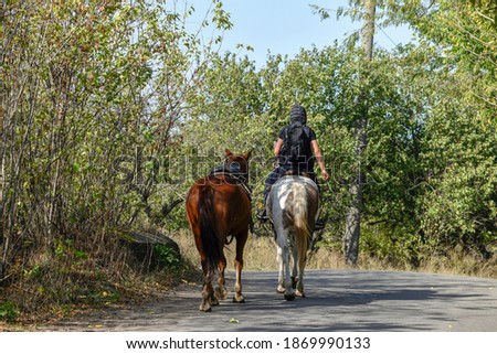 Two horses with a rider are walking along the road, back view