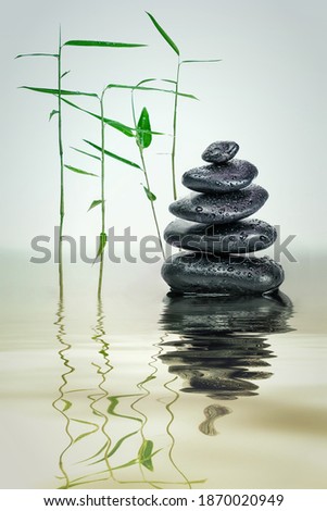 black stones with bamboo in the water