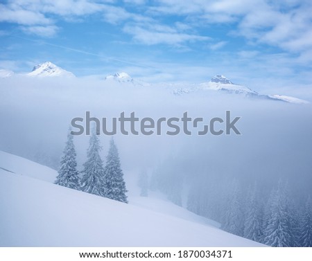 Picturesque winter landscape with snowy spruces on a frosty day. Location place Carpathian mountains, Ukraine, Europe. Vibrant photo wallpaper. Happy New Year! Discover the beauty of earth.