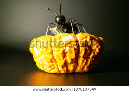 Close up image of a crumpled and dated small pumpkin with vivid orange color isolated on a black background and a black ant on it