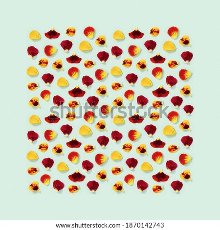 Modern floral seamless pattern with yellow and red petals of pansy flowers, small summer flowery seasonal styling greeting card.