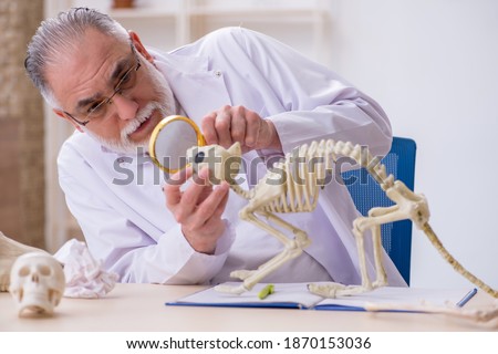 Old male paleontologist examining ancient animals at lab Royalty-Free Stock Photo #1870153036