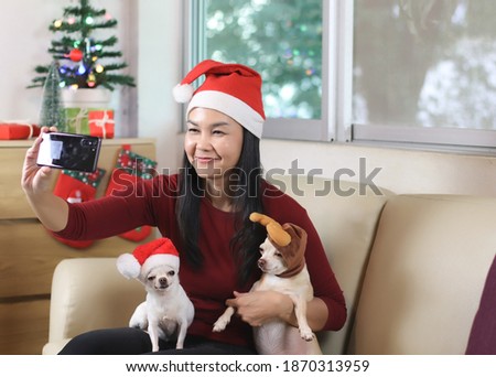 Portrait of  Asian woman wearing Christmas Santa hat sitting with two chihuahua dogs wearing Christmas costume in living room  with Christmas decoration, taking selfie photo with mobile phone.