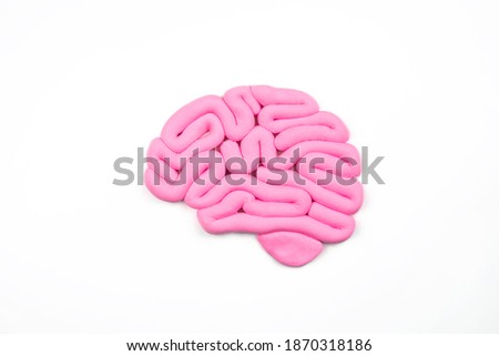 Model of pink human brain on white background. Profile view, flat lay. Intelligence concept.	 Royalty-Free Stock Photo #1870318186