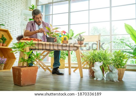 Senior gardener working in his houseplant workshop for his small business in plants shop.