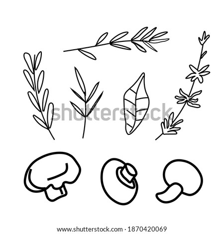 Vector set of illustrations with champignons,herbs,soup in doodle style.Collection with food black lines hand drawn.Clip art with mushrooms,rosemary,basil.Design for packaging,social network,web,menu.