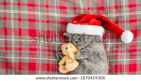 Cute kitten wearing red santa's hat sleeps on  blanket and hugs favorite toy bear. Empty space for text
