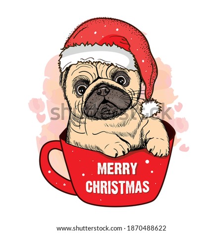 Cute pug dog in red mug illustration. Cool dog. Stay cool lettering. Merry christmas card.	