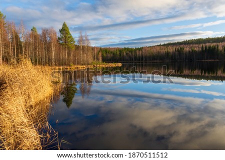 Shore in a lake in autumn with reed in forefront and forest and blue sky reflecting in calm water, picture from Northern Sweden.