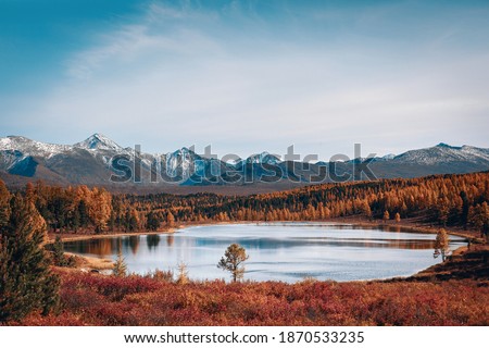 Breathtaking landscape of a deep wide lake in the middle of a dense forest. Vintage style photo. Warm color photo