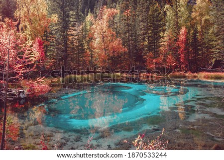 Fairytale forest filled with tall trees of different colors. In the middle of the forest there is a huge emerald blue lake. Fairy tail in real life