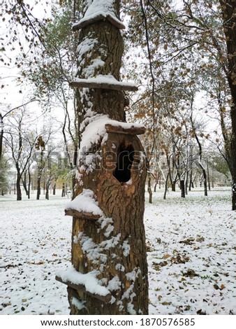 Snowy hollow tree with stairs for children to play