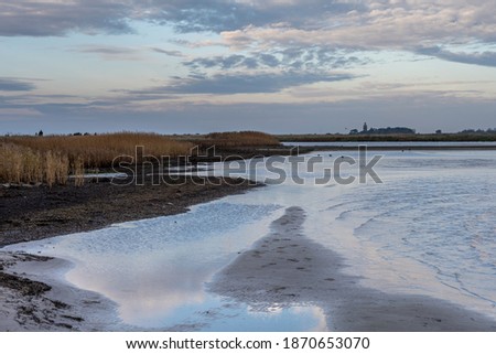 A sandy shoreline at a beautiful nature reserve. Picture from Falsterbo in Scania, southern Sweden