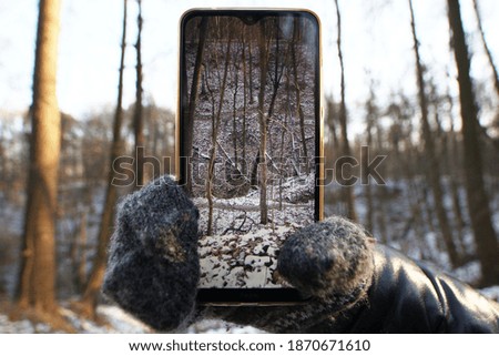 Winter Park, ravine photo through smartphone