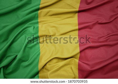 waving colorful national flag of mali. macro shot