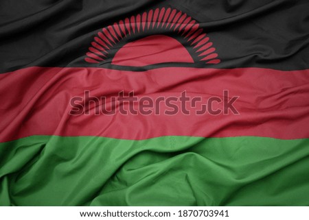 waving colorful national flag of malawi. macro shot