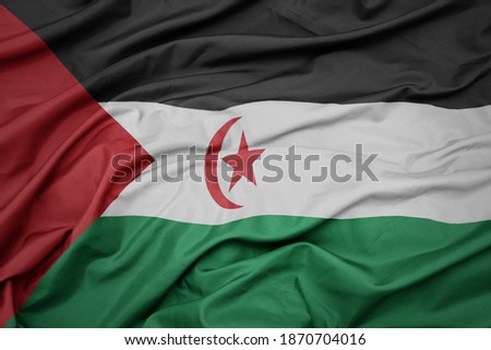 waving colorful national flag of Sahrawi Arab Democratic Republic. macro shot