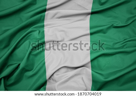 waving colorful national flag of nigeria. macro shot