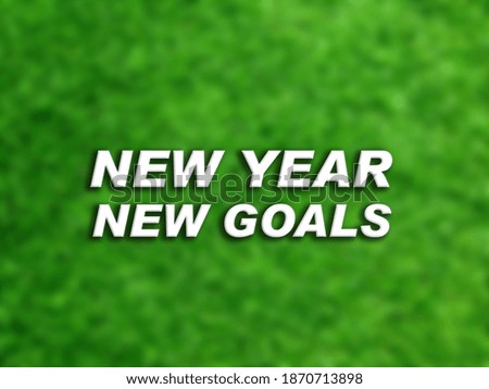 3D Text New Year New Goals on blurred green natural background. 3D rendered royalty free stock picture. This image can be used for an online website banner ad or a print postcard. Copy Space for text