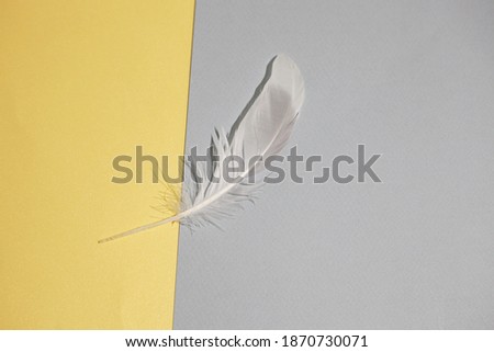 Trendy colors of 2021, yellow and gray abstract background