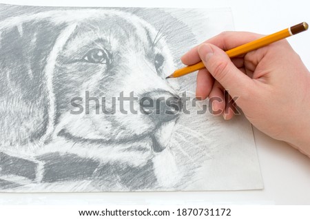Close-up of a man's hand draws a drawing with a simple pencil. Drawing of a dog's head on paper. Horizontal photo. Royalty-Free Stock Photo #1870731172