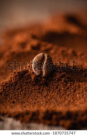 Roasted coffee bean on the mound of ground coffee. Macro shot. Coffee theme. Selective focus. Shallow depth of field.