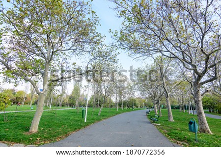 Landscape with the main alley with vivid green and yellow plants, plantan trees and grass in a sunny autumn day in Tineretului Park in Bucharest, Romania Royalty-Free Stock Photo #1870772356