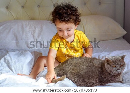 Colors 2021 gray and yellow. Little boy relaxing on the bed with his gray cat. Portrait of a small cute kid in yellow t-shirt playing with british cat. Selective focus on baby.