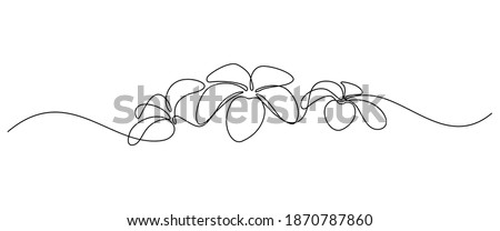 Plumeria flowers in continuous line art drawing style. Border with fragrant tropical plumeria (frangipani, jasmine) flowers. Minimalist black linear sketch on white background. Vector  illustration Royalty-Free Stock Photo #1870787860