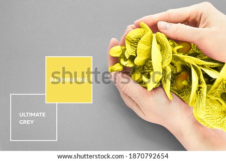 female hands with manicure and orchid on a flower background