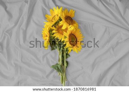 Color of the year 2021. Illuminating yellow and Ultimate Gray. Yellow sunflowers and Gray background, web banner.