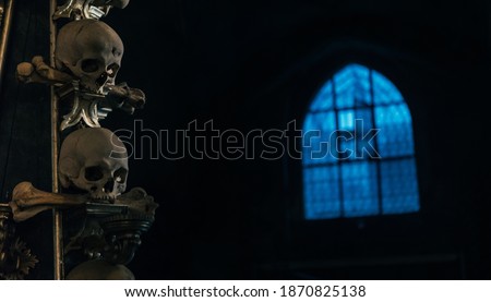 Humans skull in the dark with blue light window background still life. Horror place concept image.
