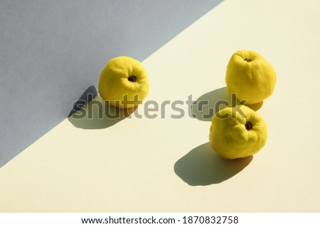 Illuminating Yellow and Ultimate Gray, colors of the year 2021. Yellow Autumn quince fruits on grey and yellow layered paper.