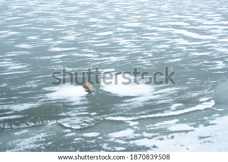 winter in the village. winter lake covered with ice and snow. reeds. rink. the water is covered with snow. early winter
