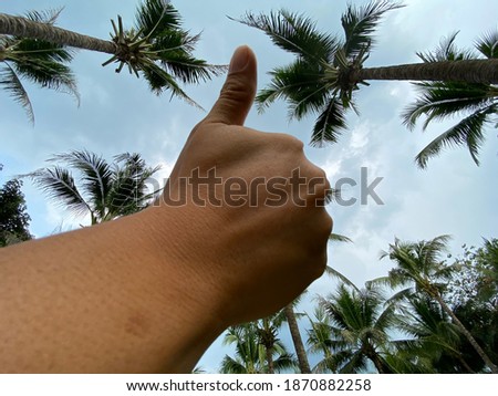 A hand against coconut field and blue sky in the background, thumb up. 