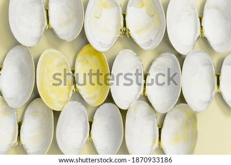 Summer design background with natural beautiful seashells. Trend color of  2021 year, yellow and grey illuminated