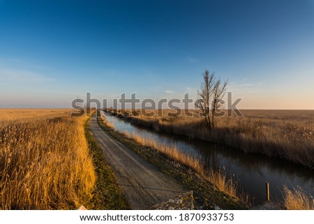 street and a waterway parallel with reed and blue sky
