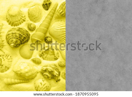 Trendy colors of year 2021 Illuminating and Ultimate Gray, yellow top view of defocused seashells and gray background