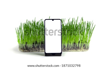 Smartphone with white screen stands on stand in front of green grass on isolated light background.