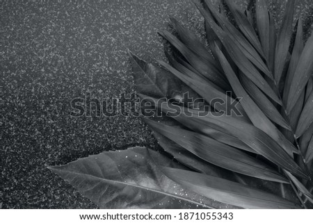Ultimate Gray leaves toned in ultimate grey trendy color