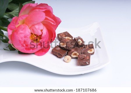 Chocolate with nuts on a white plate  