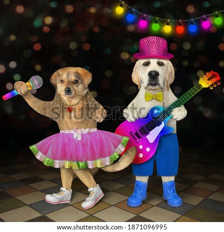 Two musician dogs perform on stage in a nightclub.