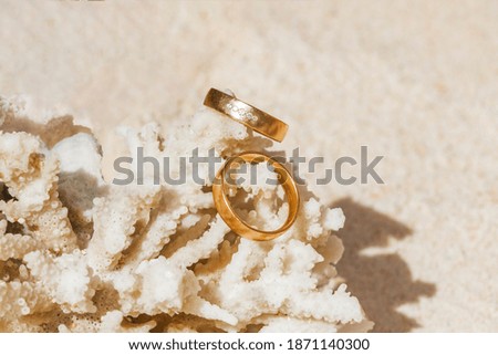 Wedding rings on coral on the beach. Honeymoon on Koh Nang Yuan Thailand.