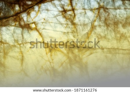 Abstract beautiful yellow and beige stone texture background. Nature concept.