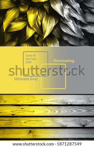 Collage demonstrating trendy colors 2021 - Gray and Yellow. Vertical edition for social media