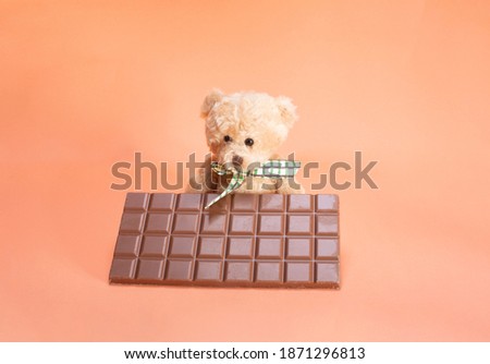 bear and milk chocolate on orange background