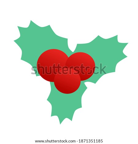 Holly leaves for Christmas decorations on Christmas tree on white background vector design.