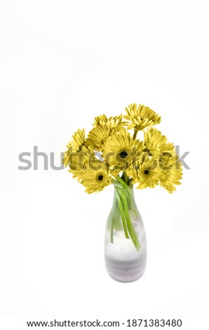 Yellow and gray, Color of the year of 2021 Illuminating.Floral background with herbera flowers in vase