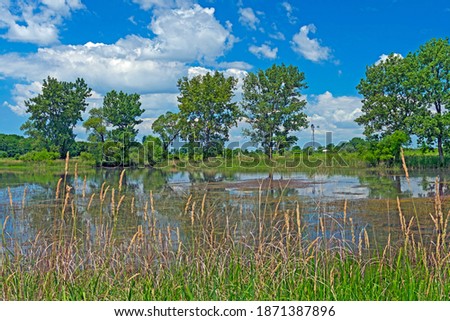Prairie Pond on a Summer Day at the Goose Lake Prairie State Natural Area in Illinois Royalty-Free Stock Photo #1871387896