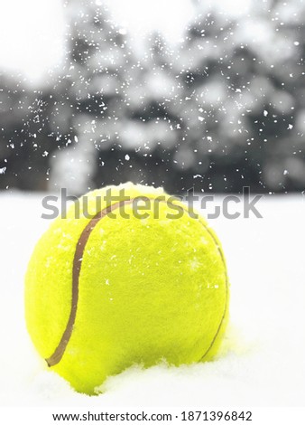 Tennis Christmas ball on the snow on Christmas trees background, and falling snowflakes. Concept of Color of the Year 2021 with bright illuminating yellow and gray colours, front view, selective focus